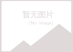 伊春翠峦晓夏咨询有限公司